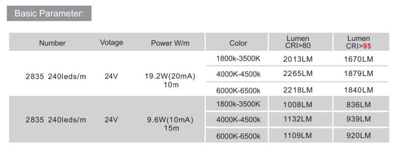 Super Length Constant Current Cc24V IC-Built-in LED Strip Light Without Resistors