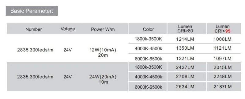 CRI 95 High Lumen 300LEDs DC24V IC Built in LED Strip 12W 24W Without Voltage Drop 30m