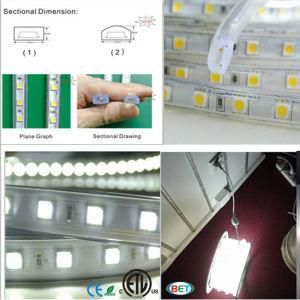 120V/220V 6000K Cool White Flexible Waterproof LED Strip Rope Light