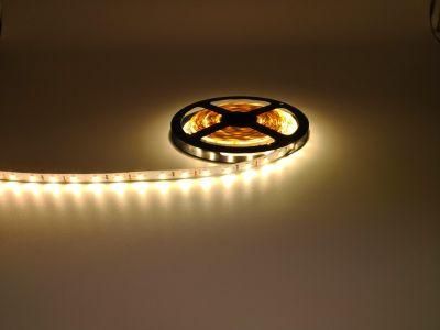 DC 12V Waterproof SMD 2835 60LED/M LED Neon Flex Strip RGB Flexible LED Strip