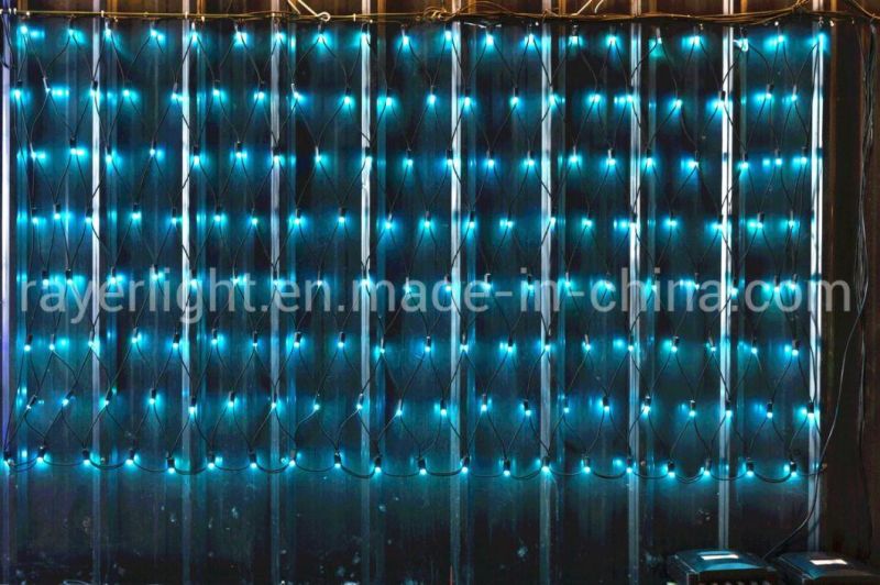 Flashing Christmas Addressable RGB LED Intelligent Net Lights