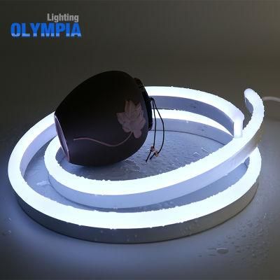 24V Swimming Pool Addressable White LED Neon Strip