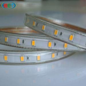 120V 110V 5630 More Brightness LED Strip as Landscape Light