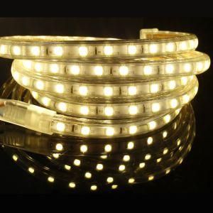 5050 120V 6000k Waterproof Outdoor LED Strip Light