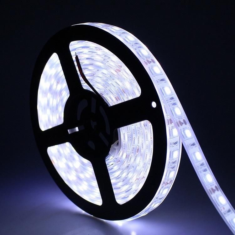 3years Warranty 5watt 60/ 30 LEDs White Strip Magic Digital LED Strip Light 12V with Power Supplier