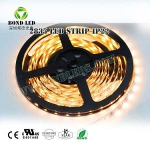 High Brightness 300LEDs 12W/M Flexible LED Strips