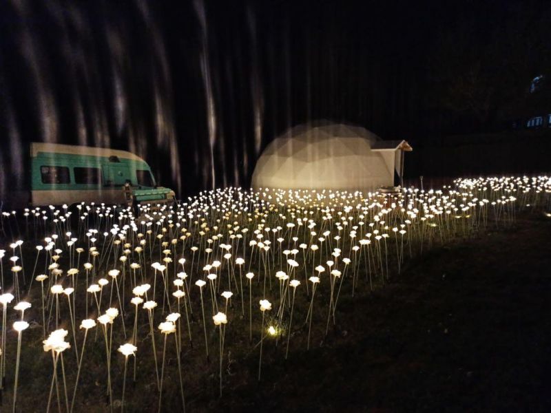 Outdoor Ball Flower Decoration Lights for Garden Decoration Light LED Ball Light