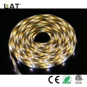 DC24V 3m IP65 Double CCT SMD5025 Ww and Cw 60/120LEDs Flexible LED Strip Light