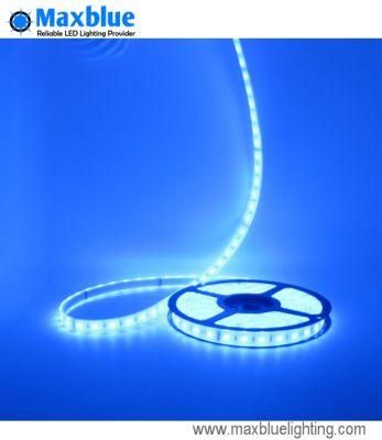 High Brightness DC24V 5050SMD 96LEDs/M RGB LED Strip Light