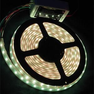 IP65 Sillicon Tube Waterproof 3528 RGBW 24V Flexible LED Strips Light