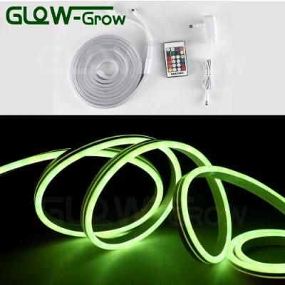 24V/12V 5050 60LEDs/M LED RGB LED Neon Flex Light for Project House Home Decoration