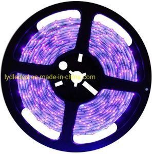 Far UVC LED Strip 265nm 275nm SMD3535 Germicidal Lamps for Sterilization UV LED Lamp