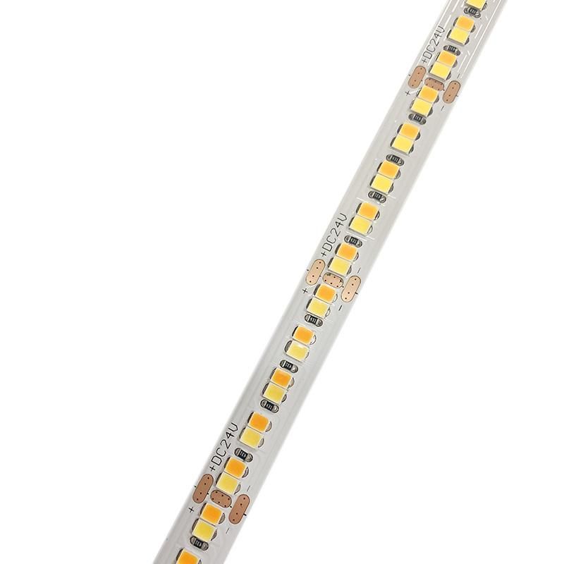 24V Led Strip 2835 Cct 10Mm  Dual Led Strip Led Flexible Light