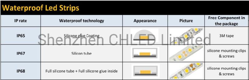 Pool Using IP68 Waterproof Flexible 3528 LED Light Strip