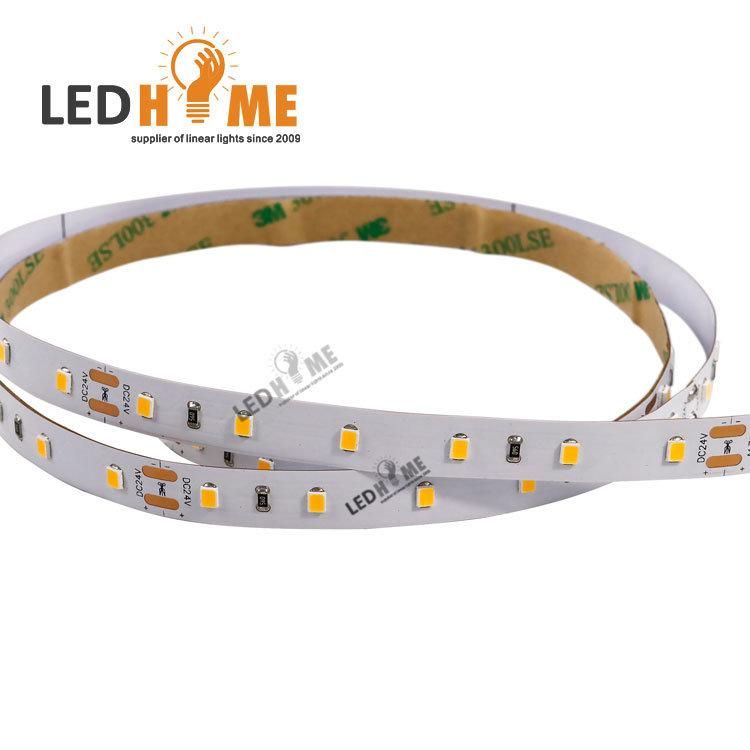 60/120/180/240/300 LED/M DC 24V LED Strip Warm/White