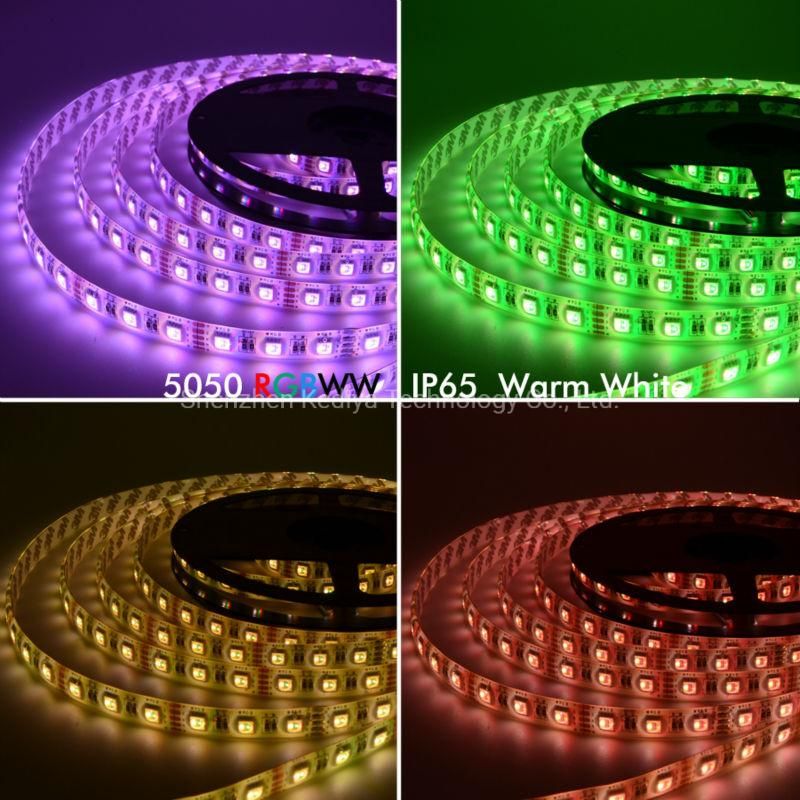 High CRI 2021 Hot Products Waterproof Customizable 16.4FT 12V 24V 5050 RGBW Rgbww LED Strip 4in1