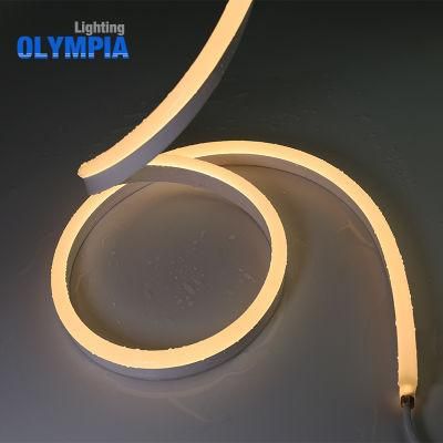 12W/M SMD5050 LED Flexible Neon Strip Light