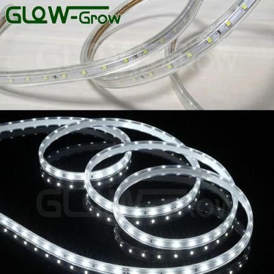 Blue Rope Lamp DC 120V IP65 Waterproof 60LEDs/M SMD 2835 LED Strip Light