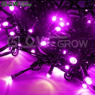 5m 50LEDs Outside Short Pink LED Fairy Fall String Light Home Bedroom Event Ramadan Christmas Holiday Festival Party Decoration