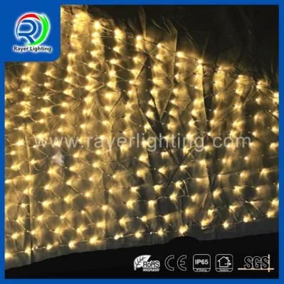 LED String Light LED Garden Decoration LED Street String Lighting