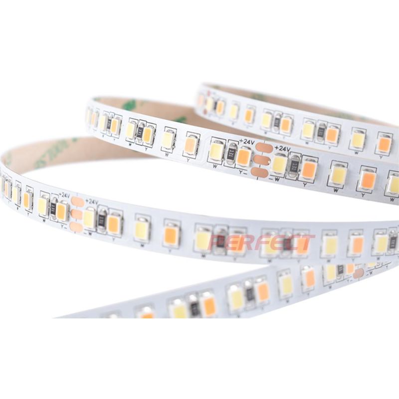 Warm White Cool White LED Light Strips 5m SMD 2835 CCT Dual White 168LEDs/M 12V 24V LED Strip Light