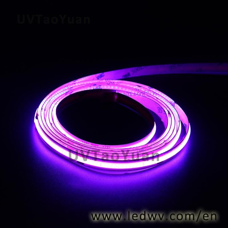 Warm White Green Blue Red LED Flexible Strip Light