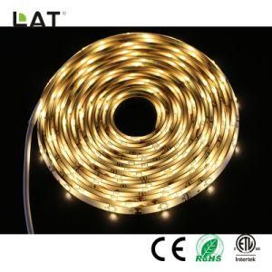 SMD2835 5m IP20/IP65 Ww/Cw 30/60/120LEDs Flexible LED Strip Light