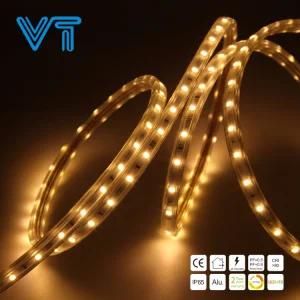 IP20/IP65SMD5050 LED Flexible Strip/LED Strip Light Flexible/Flexible LED Strip