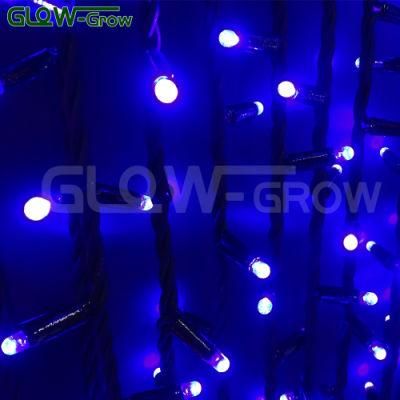 2m X 3m IP65 Waterproof 600 LEDs Wholesale Blue Christmas String Light LED Curtain Light for Hotel Wedding House Project Decoration