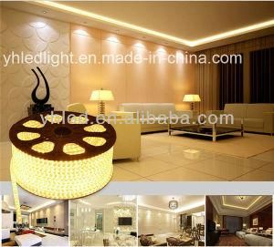 LED Strip Light Kit 5050 IP68 Flex for Outdoor Decoration