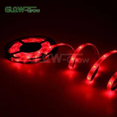 12V/24V 10mm 10*2.3mm 30LEDs/M 3.6W/M RGB Color Changing LED Strip Light for House Home Party Restaurant Decoration