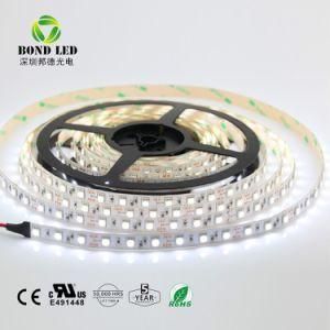 DC12V/24V Ce Approved Flexible 5050 LED Strip Light LED Strip Light