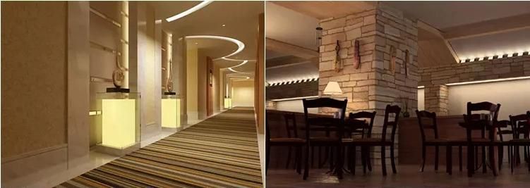 Flexible Light LED Strip COB 12V LED Lighting for Decorative