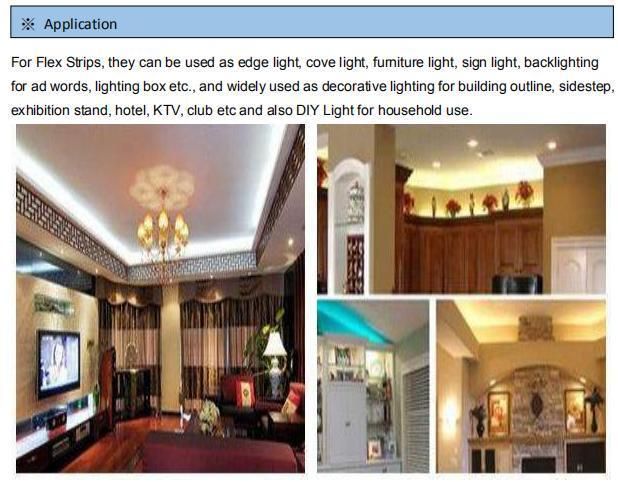 Expert Manufacturer of 5050 CCT White/Warm White Twin Color LED Strip Light