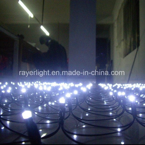 LED String Net Lights LED Garden Light LED Twinkle Decorative Light LED Outdoor Light