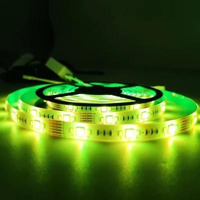 CE Approved Eco Friendly Recyclable Factory Supply Customized LED Strip Light for Living Room