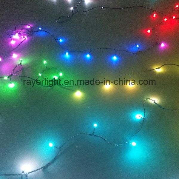 Lighting Project Outdoor RGB DMX Controlled LED String Lights