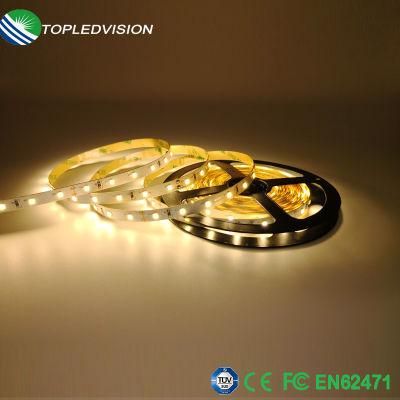 High Brightness 60LEDs/M 12W/M 2835 White Flexible LED Strip Light