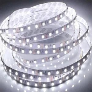 4.8W/Meter (R, Y) &6W/Meter (B, G, W, WW, P) Tape Light with Milk PVC