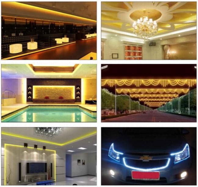 High Brightness 30LEDs/M Flexible SMD5630/5730 LED Strip Light with IEC/En62471