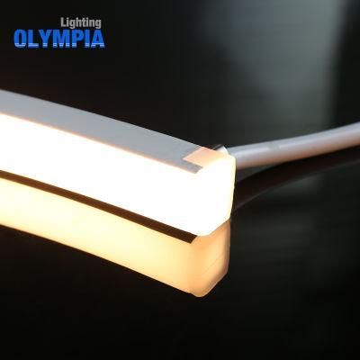 Outdoor Red LED Neon Flex Light for Decoration