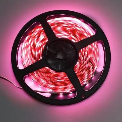 19.2W/M 60LED/M SMD5050 RGBW/Ww Color Flexible LED Tape Light Strip