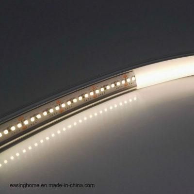 Ap302 RGB 5050 LED Strip Silicone LED Neon Flex Rope Lights Flexible Strip Light for Outdoor Waterproof Decoration Lighting