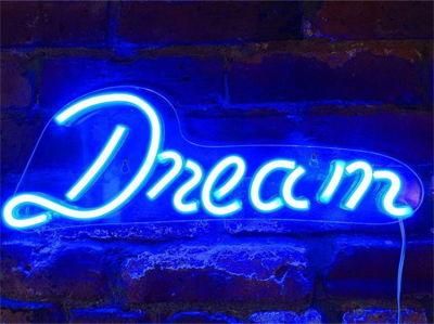 Drop Shipping Hot Selling Wall Mounted Hanging Decorative Dream LED Neon Light Sign Acrylic Custom Neon Sign Letters