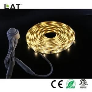 SMD2835 5m Ww/Cw 30/60/120LEDs Flexible LED Strip Light with Sensor Can Adjust 30s to 10min