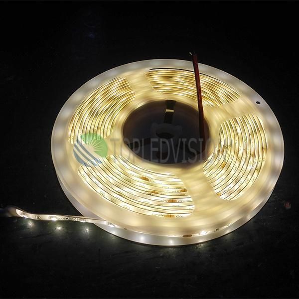 LED Strip with Photobiological Safety