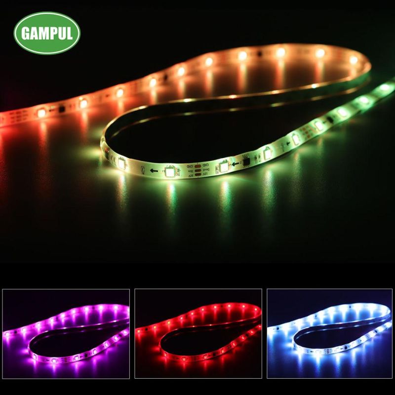 China Factory Made DC12V/24V Ce Approved Flexible LED Strip Light LED Strip Lamp