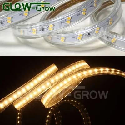 Double Line Rope Lamp AC 230V IP65 Waterproof 120LEDs/M SMD 2835 LED Strip Light