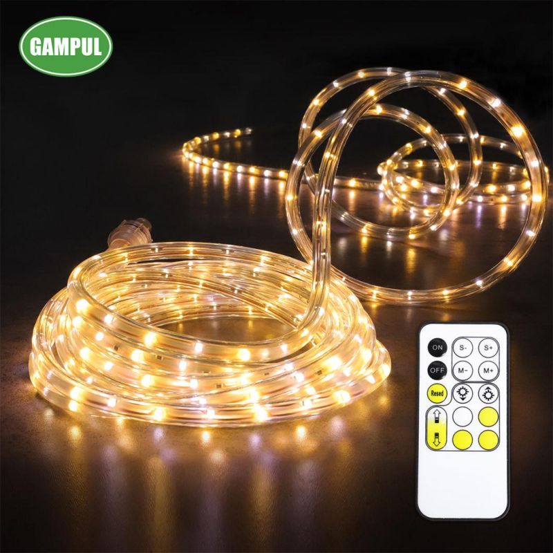 China Color Changed White Flexible LED Decorative Rope Light 3528SMD