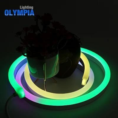 Ultra Thin RGB Night 24V Mini LED Neon Flex Light